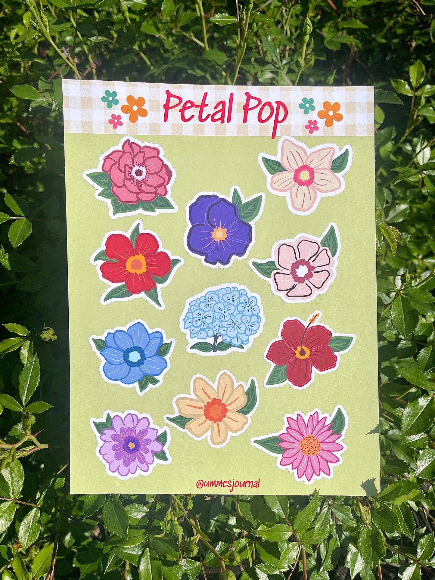 Petal Pop